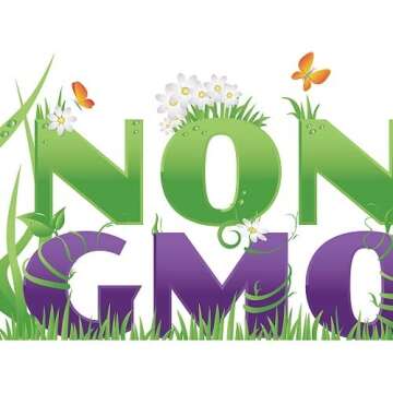 David's Garden Cauliflower Sicilian Violet 50 Non-GMO Seeds