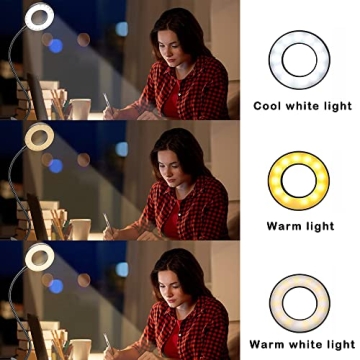 Foneso LED Desk Lamp 3 Colors 10 Brightness USB Powered