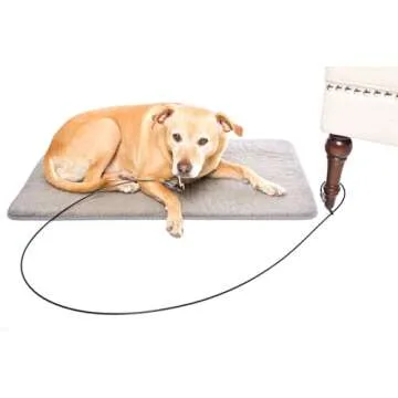 Training Tie Down - Short Tether for Dogs & Teething Puppies (4 feet)