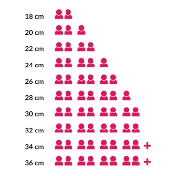 STAUB Cast Iron Sauté Pan with Chistera Lid 28 cm