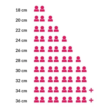 STAUB Cast Iron Sauté Pan with Chistera Lid 28 cm