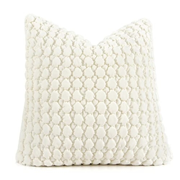 COCOPLOCEUS 1 Piece Euro Sham Cream 24x24 Pillow Covers Decorative Farmhouse Pillow Covers Velvet Sq...