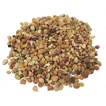 TerraGreen Creations - 1 lb - Washed Pea Gravel - Succulent Pebbles and Rocks for Plants - Planter a...