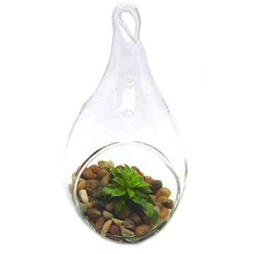 TerraGreen Creations 1 lb Washed Pea Gravel for Plants and Fairy Gardens