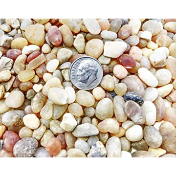 TerraGreen Creations 1 lb Washed Pea Gravel for Plants and Fairy Gardens