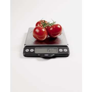 OXO Good Grips 11 Pound Food Scale with Pull-Out Display, Stainless Steel
