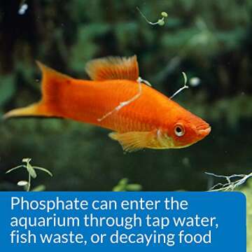 API Phosphate Test Kit for Freshwater & Saltwater