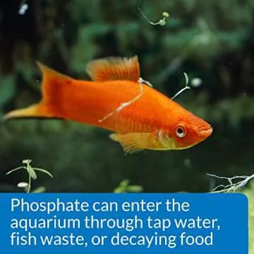 API Phosphate Test Kit for Freshwater & Saltwater