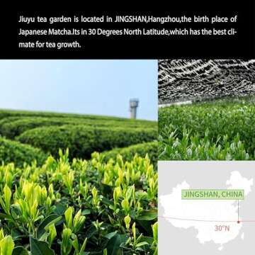 Organic Ceremonial Matcha Green Tea Powder Premium 100g