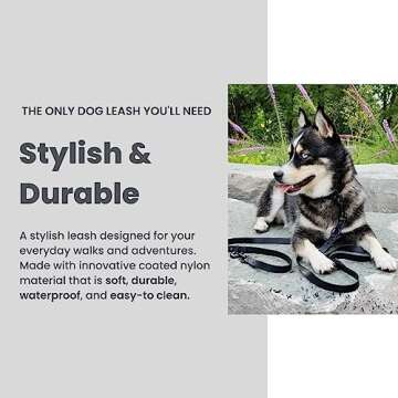 WOOFELITE Hands-Free Adjustable Dog Leash - 7 FT Black