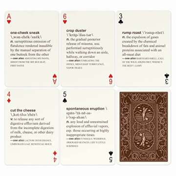 Knock Knock 52 Farts Playing Cards Deck, Adult-Humor Playing Cards Deck (AKA Not Kiddo Friendly!)