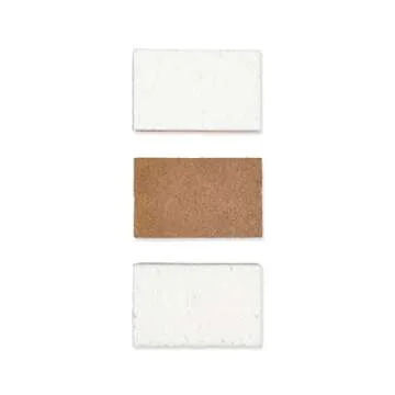 Full Circle In a Nutshell Walnut Scrubber Sponges, Non-Scratch, Set of 2 (Pack of 6)