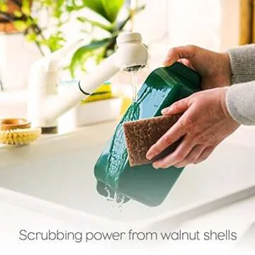 Full Circle In a Nutshell Walnut Scrubber Sponges, Non-Scratch, Set of 2 (Pack of 6)