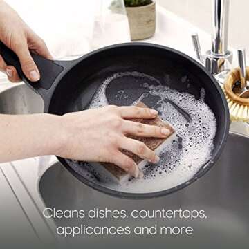 Full Circle In a Nutshell Walnut Scrubber Sponges, Non-Scratch, Set of 2 (Pack of 6)