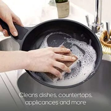 Full Circle In a Nutshell Walnut Scrubber Sponges, Non-Scratch, Set of 2 (Pack of 6)