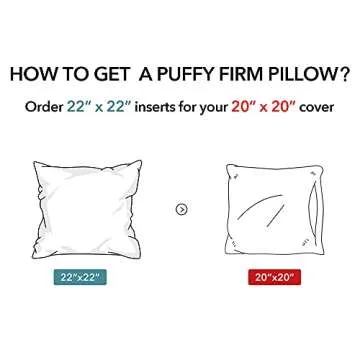 Oubonun 22 x 22 Premium Pillow Inserts - Set of 2