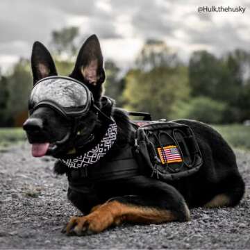 OneTigris Tactical Dog Backpack for Active Medium Dogs