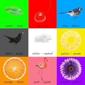 My First 101 Gujarati Words for Toddlers