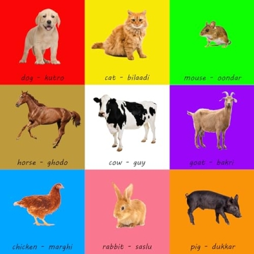 My First 101 Gujarati Words for Toddlers