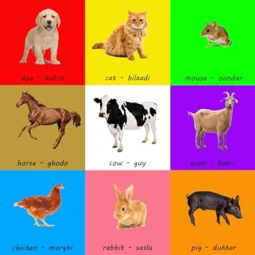 My First 101 Gujarati Words for Toddlers