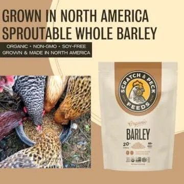 Scratch and Peck Whole Barley Chicken, Duck and Livestock Supplemental Grain - 8.5% Protein, Certified Organic and Non-GMO Project Verified Chicken Food - 10 lbs Bag