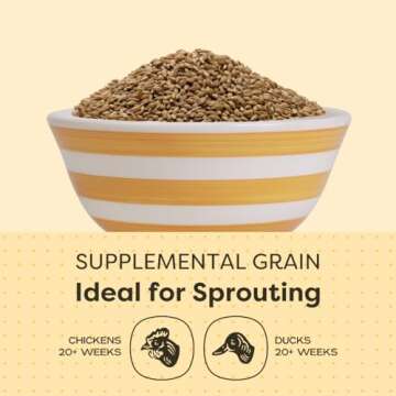 Scratch and Peck Whole Barley Chicken, Duck and Livestock Supplemental Grain - 8.5% Protein, Certified Organic and Non-GMO Project Verified Chicken Food - 10 lbs Bag