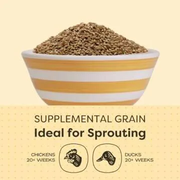 Scratch and Peck Whole Barley Chicken, Duck and Livestock Supplemental Grain - 8.5% Protein, Certified Organic and Non-GMO Project Verified Chicken Food - 10 lbs Bag