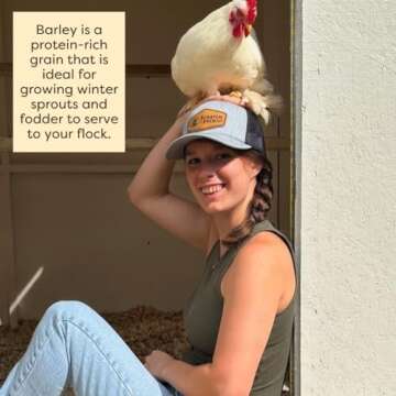 Scratch and Peck Whole Barley Chicken, Duck and Livestock Supplemental Grain - 8.5% Protein, Certified Organic and Non-GMO Project Verified Chicken Food - 10 lbs Bag