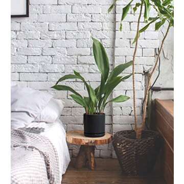 D'vine Dev Set of 2 Plants Pots, 6 Inch Ceramic Planter Pot for Plants with Drainage Hole and Saucer, Black, 94-V-C-2