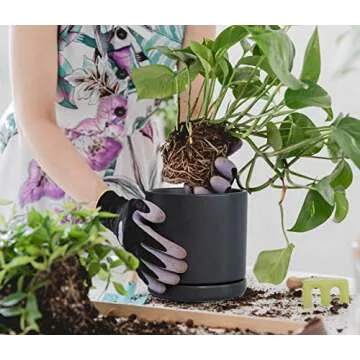 D'vine Dev Set of 2 Plants Pots, 6 Inch Ceramic Planter Pot for Plants with Drainage Hole and Saucer, Black, 94-V-C-2