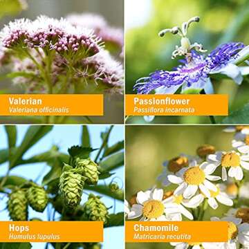 Herb Pharm Relaxing Sleep Herbal Formula with Valerian Liquid Extract - 4 Ounce (Pack of 1)