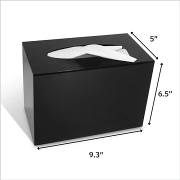 Acrylic Tissue Box Safe with Lock for Secure Storage