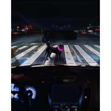 Joytale Light Up Dog Collar, Rechargeable Rainproof LED Collar for Night Walking Safety, Soft Silico...