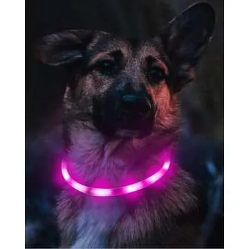 Joytale Light Up Dog Collar, Rechargeable Rainproof LED Collar for Night Walking Safety, Soft Silicone Glow in The Dark, Suitable for Small Medium Large Dogs, Purple
