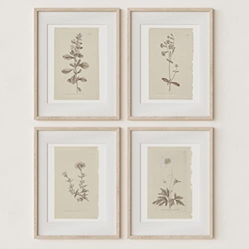 Vintage Botanical Prints Set of 4 - Elegant Floral Wall Art for Home Decor