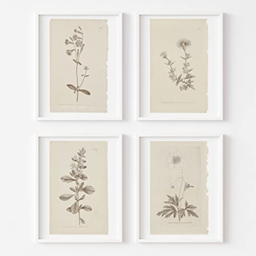 Vintage Botanical Floral Art Prints Set for Home Decor