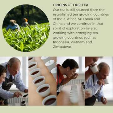 Brodies Tea, Red Berry Crush, Caffeine Free Tea Imported from Scotland, Box of 20 Tag and Envelope Bags (Pack of 1)