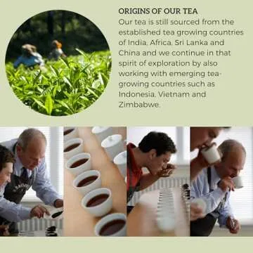 Brodies Red Berry Crush Caffeine-Free Tea Box of 20