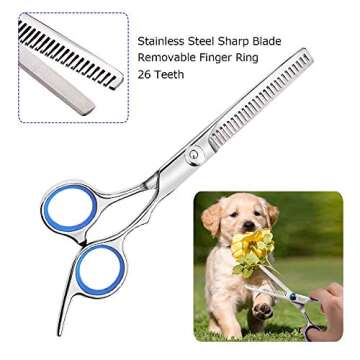 WeTest Stainless Steel Pet Grooming Scissors Set with Safety Round Tip, Include 2 Pack - Curved Scissors Thinning Shears for Grooming (LJ-ZXS-121004)