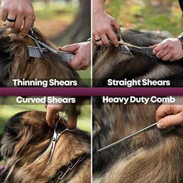 WeTest Stainless Steel Pet Grooming Scissors Set with Safety Round Tip, Include 2 Pack - Curved Scissors Thinning Shears for Grooming (LJ-ZXS-121004)