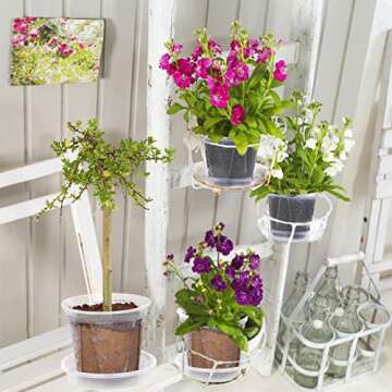 Ioffersuper 18-Pack Clear Nursery Pots with Saucers