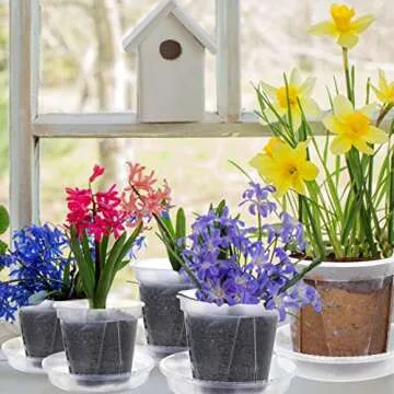 Ioffersuper 18-Pack Clear Nursery Pots with Saucers