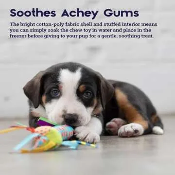 Petstages Cooling Teething Stick - Freezable Puppy Chew Toy