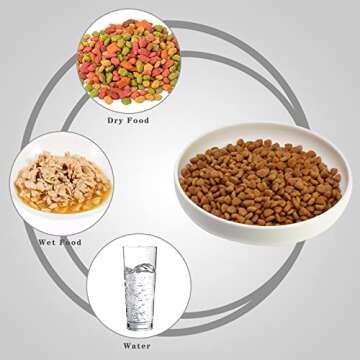 Ceramic Cat Bowls for Whisker Fatigue Relief - Set of 3