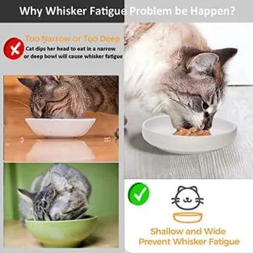 Ceramic Cat Bowls for Whisker Fatigue Relief - Set of 3