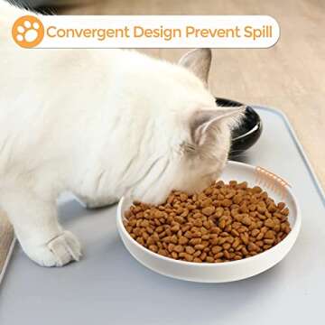 Ceramic Cat Bowls for Whisker Fatigue Relief - Set of 3