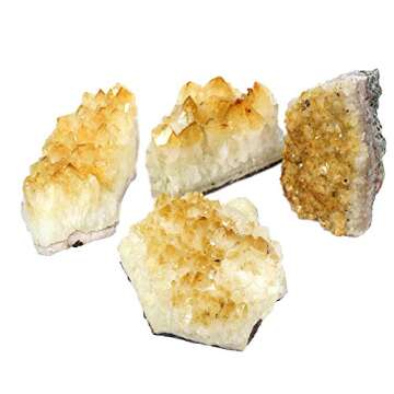 1 (One) Citrine Cluster - Citrine Cluster 1-2 lb Power Stone- Rock Paradise Exclusive COA (AMC1A)
