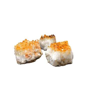 1 (One) Citrine Cluster - Citrine Cluster 1-2 lb Power Stone- Rock Paradise Exclusive COA (AMC1A)