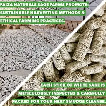 FAIZA NATURALS White Sage Smudge Sticks - 3 Pack of 4" Organic California Sage Stick Cleansing Bundle - Incense Smudging Kit to Cleanse Negative Energy at Home - 4 Inch Bulk