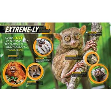 Animal Smackdown: Surprising Animal Matchups With Surprising Results (National Geographic Kids)